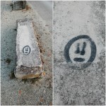 64