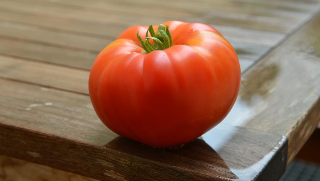 tomat7