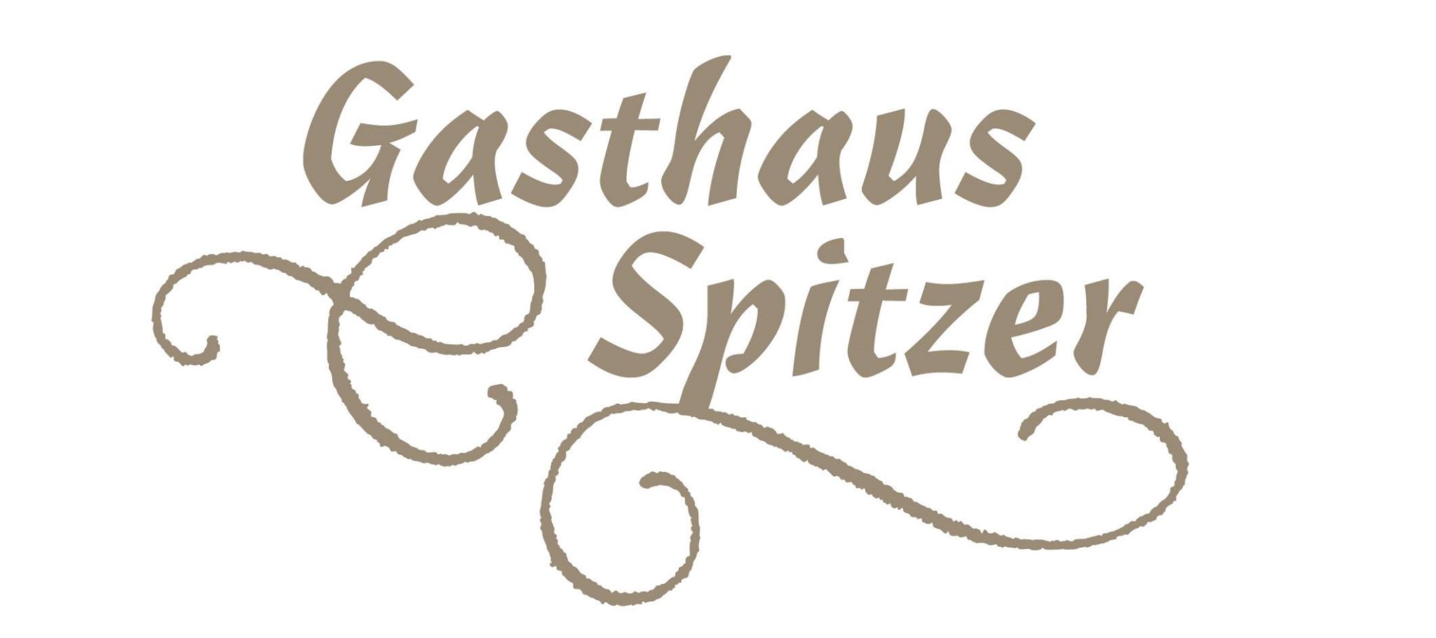 spitzer logo
