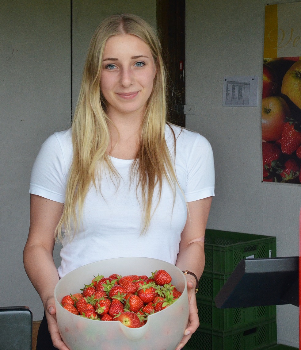 bio erdbeeren (4)