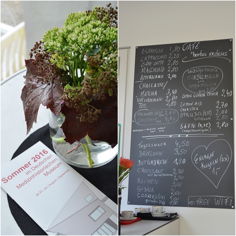 hortus medicus (12)