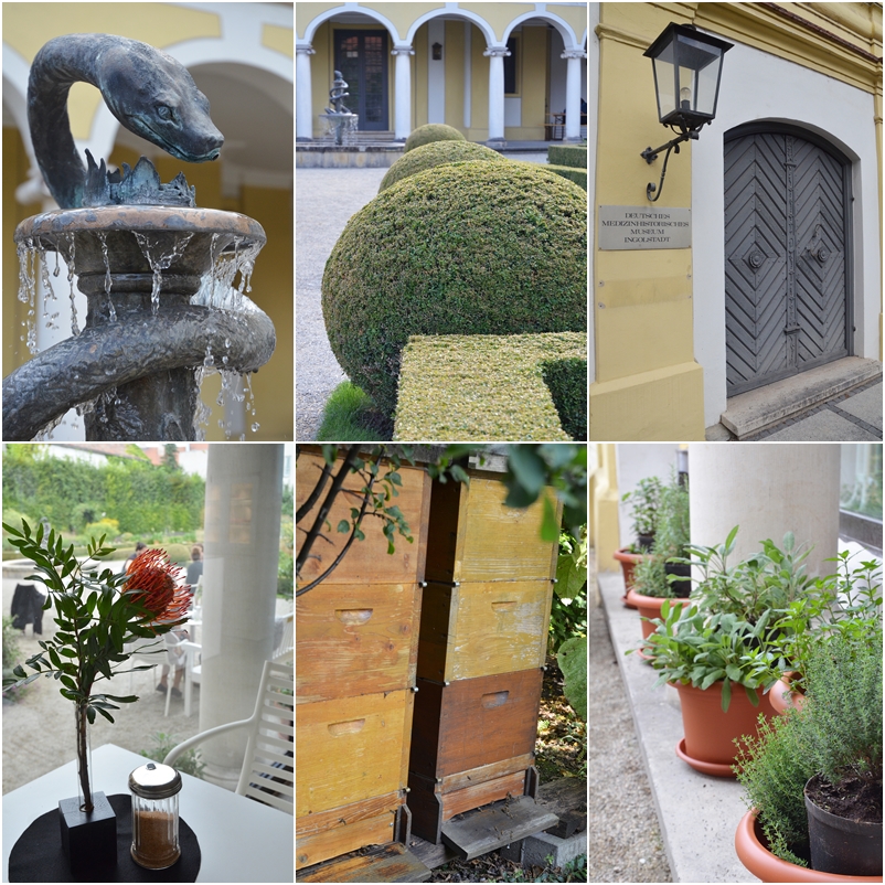 hortus medicus (13)